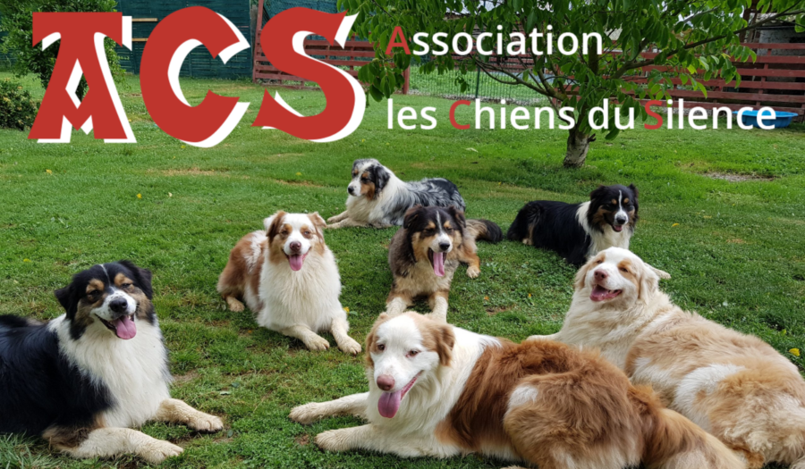 demande de chien d'assistance